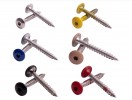 Stainless Steel Dome Head Screw